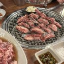 우아한돈돈