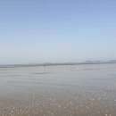 안면도바다풍경 이미지