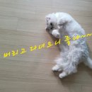 청구약수터 이미지