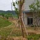 나산실용예술중학교 이미지