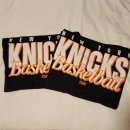 [미국 동부여행 12일차/뉴욕] 허드슨강 따라 하이라인...추천, 뉴욕 닉스 NBA🏀 경기에서 카디비💅 본 후기