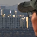 강남-016 이미지