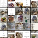 공들인하루 | w.6 [광주 첫인사 선물] 공들인 과일 바구니 | 추석선물 | 상견례 선물