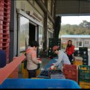 동광농장 이미지