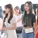 사쿠라 이미지