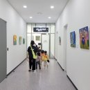 성남시청 (동관) 이미지