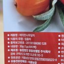두루농장 | [제품리뷰] 영월이룸농장 비타민나무잎차 티백 후기 (비타민나무잎차/티백추천/건강차/무카페인차)