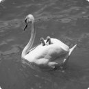 생활미용 이미지