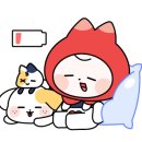 제주댁 농장 네이버블로그