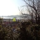 와초리농장 이미지