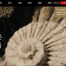 지질박물관 이미지