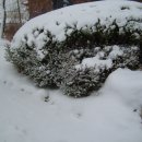 태안중학교 이미지