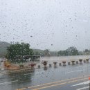 1인자감자탕화서점