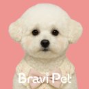 부산고양이분양 브라비펫 펫스테이션점 이미지