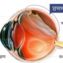 필안경 네이버블로그