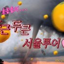 두근두근제주투어 이미지