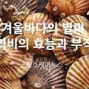 가리비
