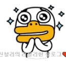 신블리 사용후기) 효장생 천연샴푸 + 탈모방지샴푸 추천!