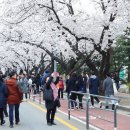 영등포관광정보센터 이미지
