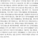 부엉덤이 Daum카페