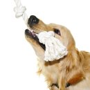 통영동물병원 이미지