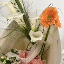 [옥정]우리집 댕댕이 옷&소품 만들기 | [W.09 스튜디오 촬영 소품] 웨딩 네일, 생화 부케, 리본, 컨페티, 풍선, 웨딩밴드 케이스, 캐주얼룩 etc...