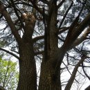 강재구공원 이미지