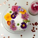 예당초등학교 이미지