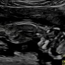 유앤장산부인과의원 이미지