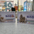 사계절약국 이미지