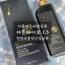 지루성두피염 샴푸추천 가려움과 각질 고민으로 선택한 카론바이오 솔직후기