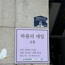[왕십리 네일] 꼼꼼한 시술에 유지력 좋은 패디 후기, 하블리 네일