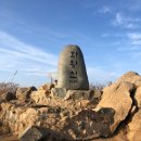 화왕산약국 Daum카페
