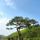 소양상회