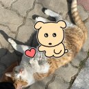 오목천역 3번출구 이미지