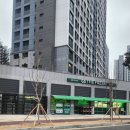 옥빛 태권도장 | 운정 임장 후기 카렌 조준 (힐푸아, GTX-A를 직접 보고 난 뒤, 뒷풀이 캠핑, 부룡님)