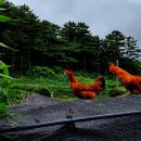 부용발전소 이미지