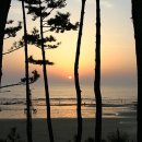 밧개오션텔 이미지