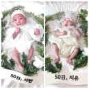 피자마루 남원점 | 일기 / 50일 셀프촬영 파티글램 /전주 혁신도시 피자마루 /전주 만성지구 버거앤프라이즈 /김진곤제빵소...