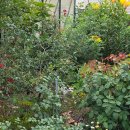 모모네간식창고 | 성운대학교 중간고사..기승능력인증제6급(25년 10월)