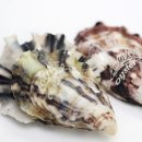 (주)신안아시아 이미지