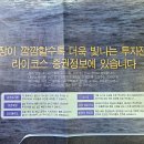 라이코스 이미지