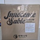이노센스 | 먼지 없는 고양이모래 추천 '이노센스 사블'