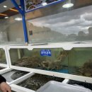 이오모텔 이미지