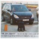 아름드리치과 이미지