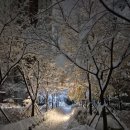 하오산 국가공인 행정사사무소 이미지