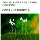 4월14일 뉴스브리핑 이미지