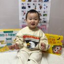 28140-3-6-16 | 블루래빗 3주 사용 후기｜6세+16개월 함께 쓰는 집콕 놀이템