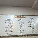 한국활법 | [대전경락] 한국활인활법전국연합회 탄방점 근육관리 통증관리 활법 마사지 후기 탄방동마사지 추천