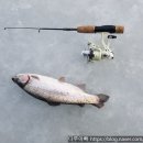 발랑낚시터 | 파주 송어축제 발랑저수지낚시터 얼음송어낚시 후기